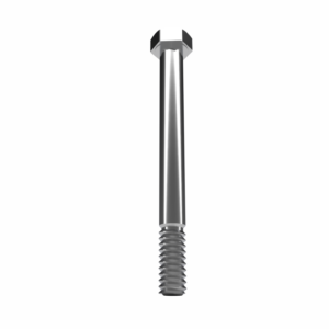 bout-m12x120-106-35-0064